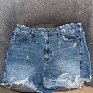 American Eagle Outfitters Light Blue Denim Shorts